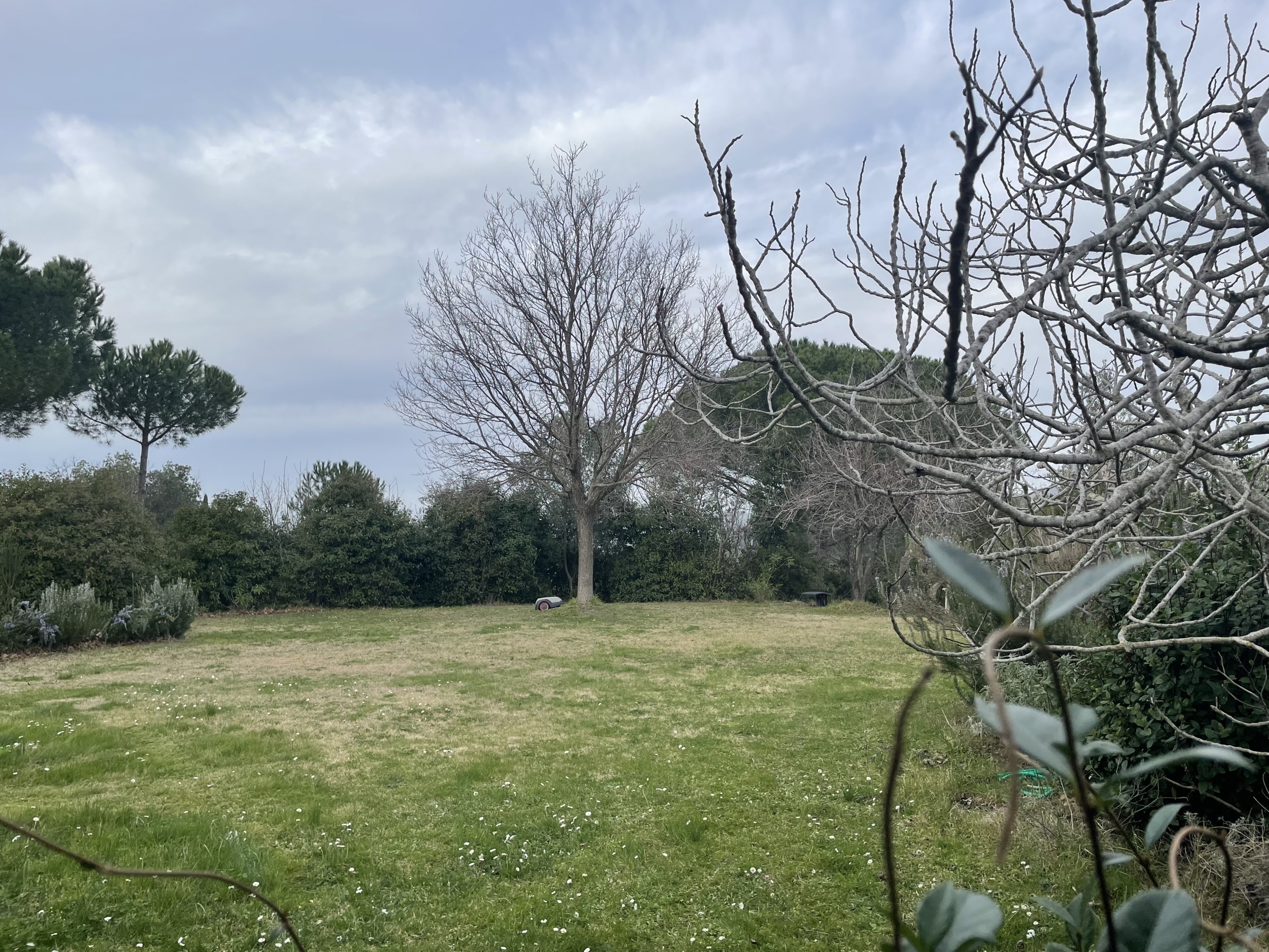 Rustico in vendita in via della sassetta, Castagneto Carducci