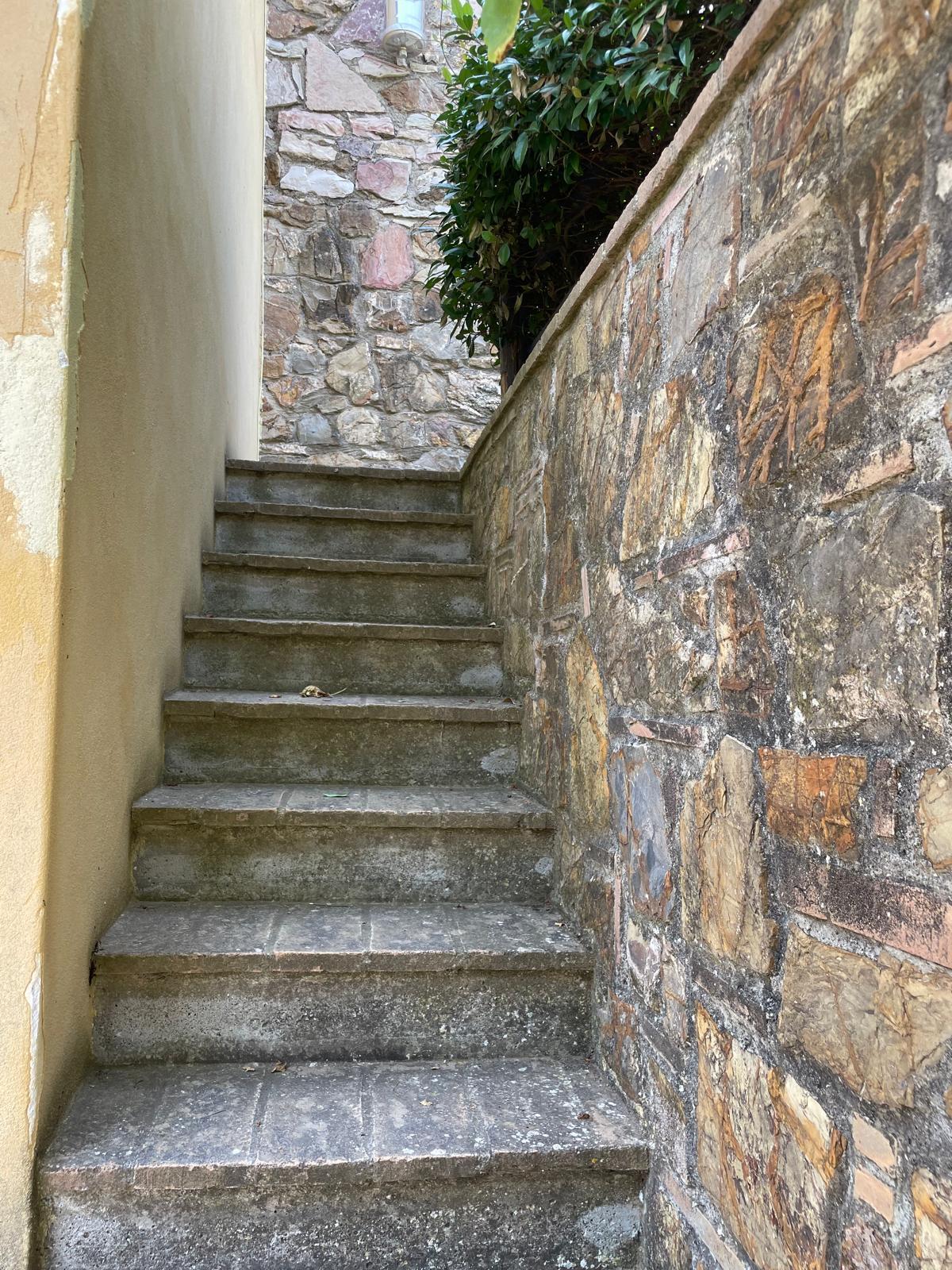 Rustico in vendita in via della sassetta, Castagneto Carducci