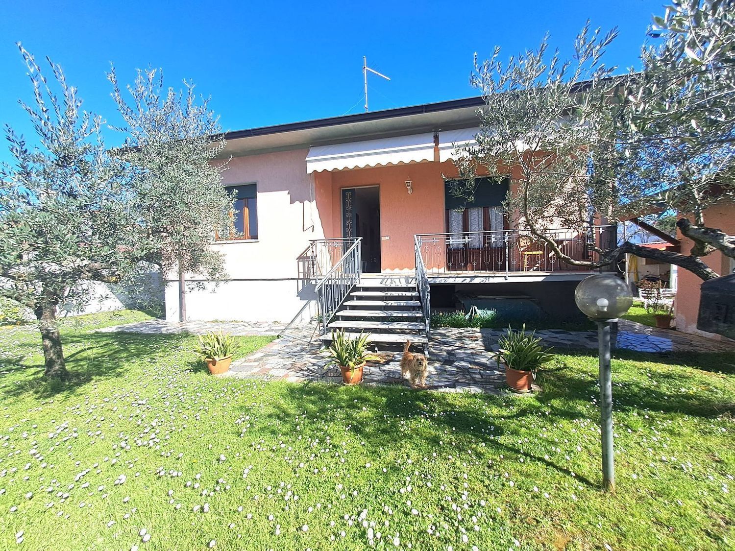 Villa arredata in affitto a Massa