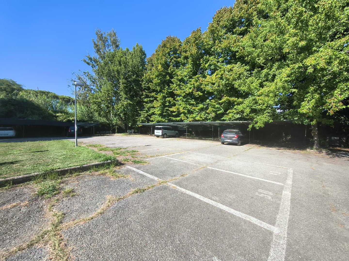 Quadrilocale con giardino, Massa ronchi