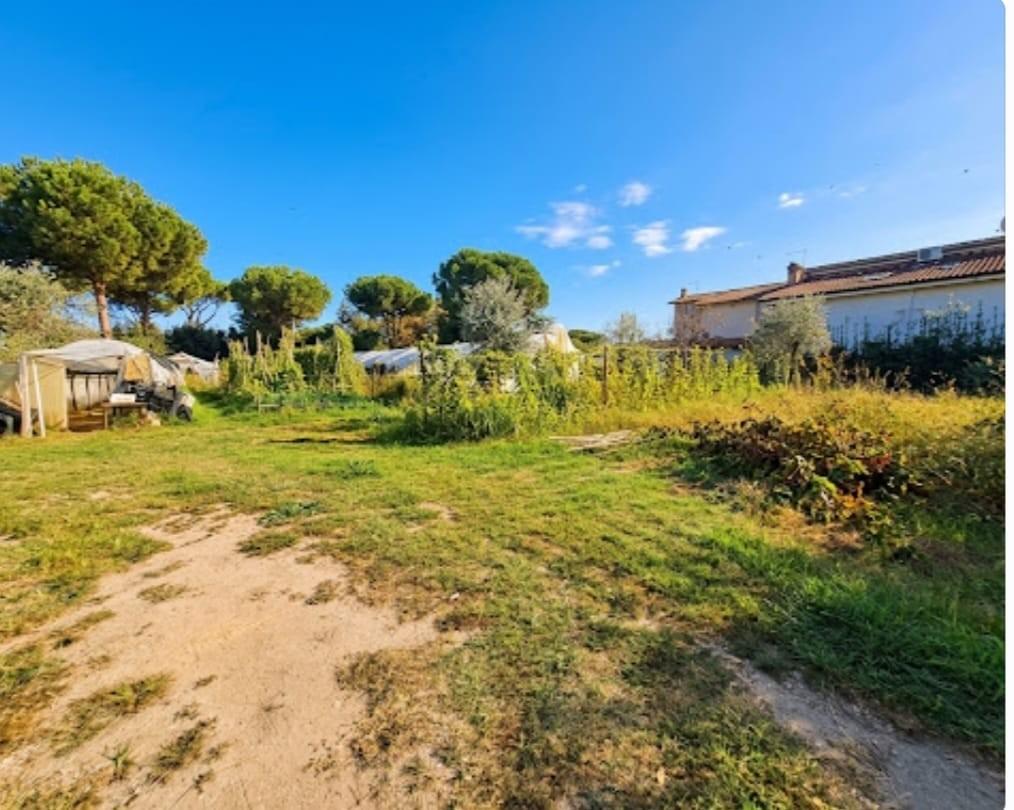 Terreno Agricolo in vendita, Massa poveromo