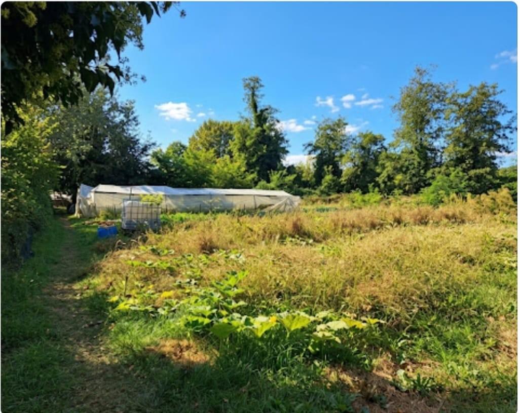 Terreno Agricolo in vendita, Massa poveromo