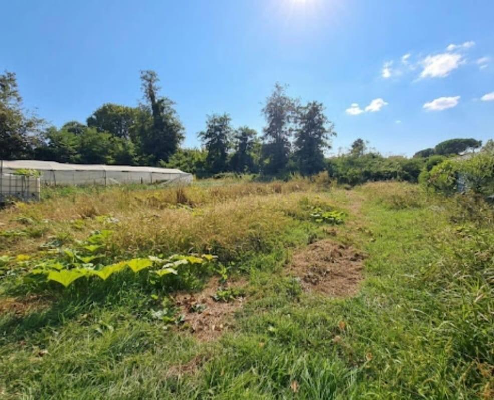 Terreno Agricolo in vendita, Massa poveromo