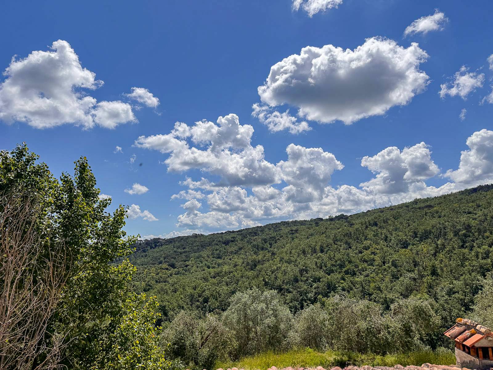 Appartamento in vendita a Scandicci, Mosciano