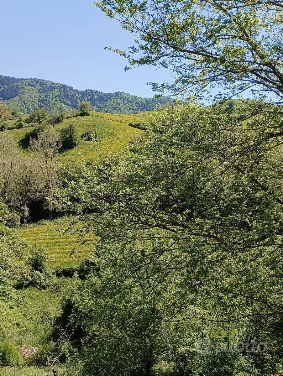 Rustico in vendita a Borgo San Lorenzo