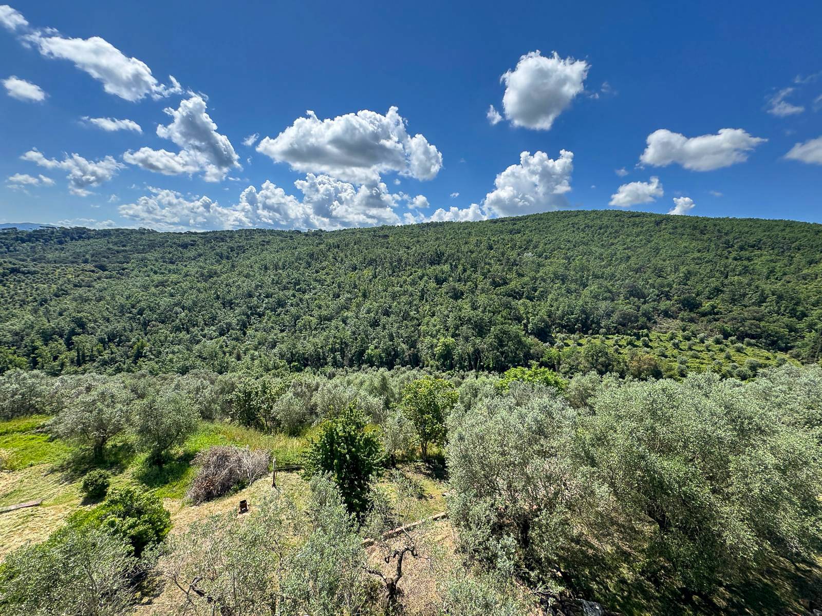Appartamento in vendita a Scandicci, Mosciano