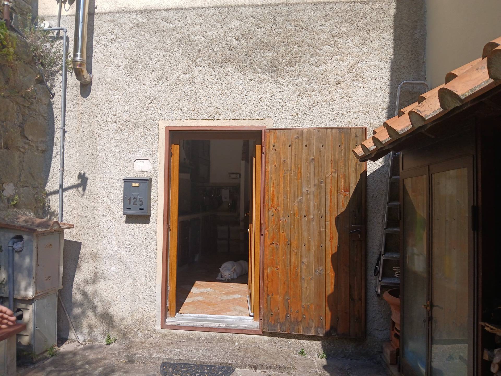 Terra tetto in vendita a Pontassieve, Santa Brigida