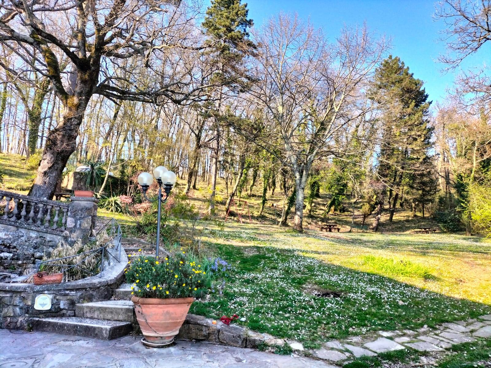 Attivit commerciale in vendita a Pontassieve, Doccia