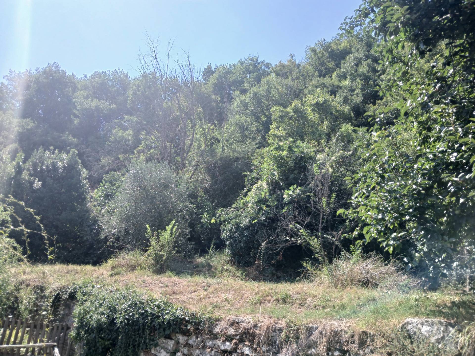 Terra tetto in vendita a Pontassieve, Santa Brigida