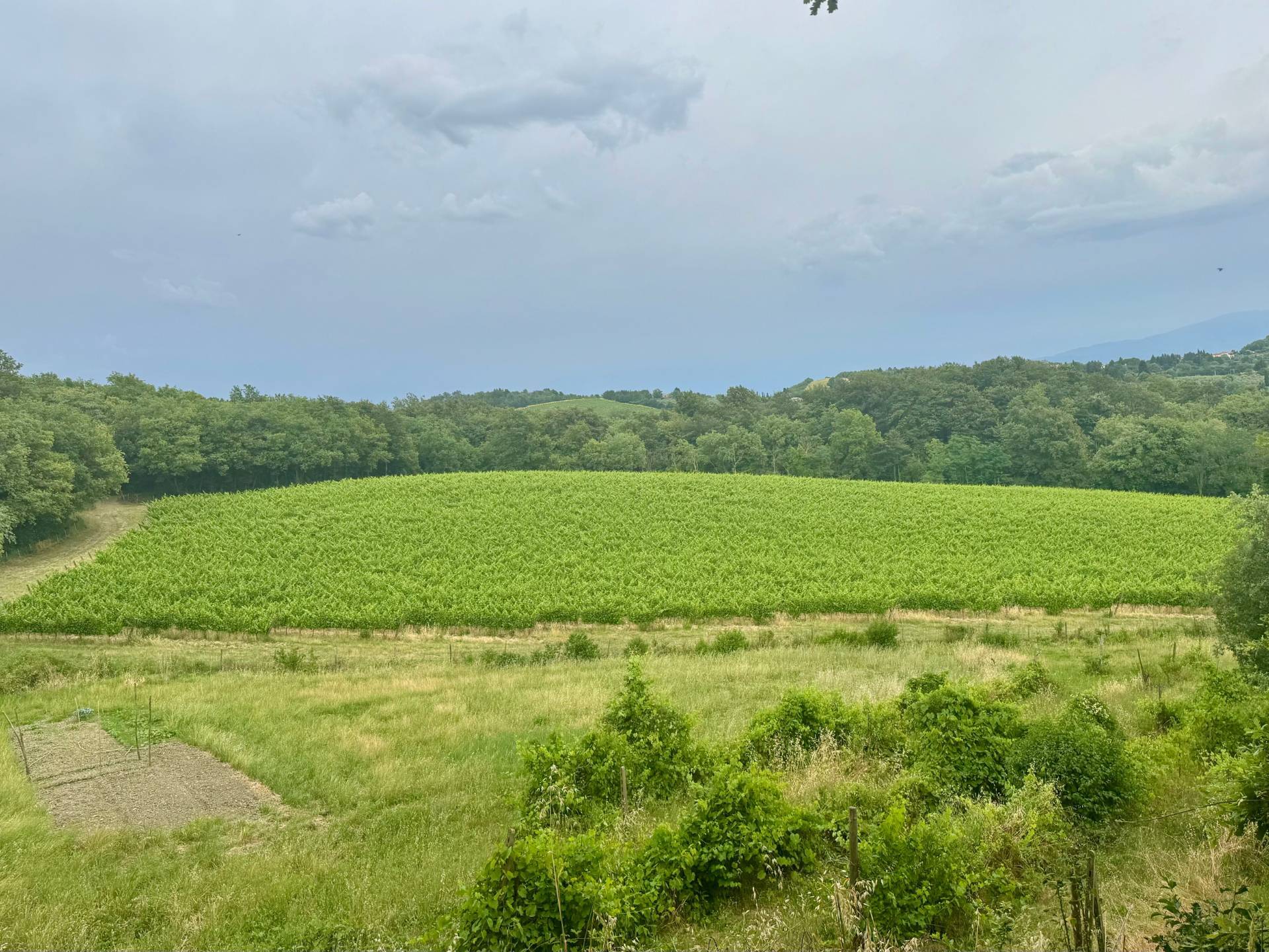 Rustico in vendita a Pontassieve, Monteloro