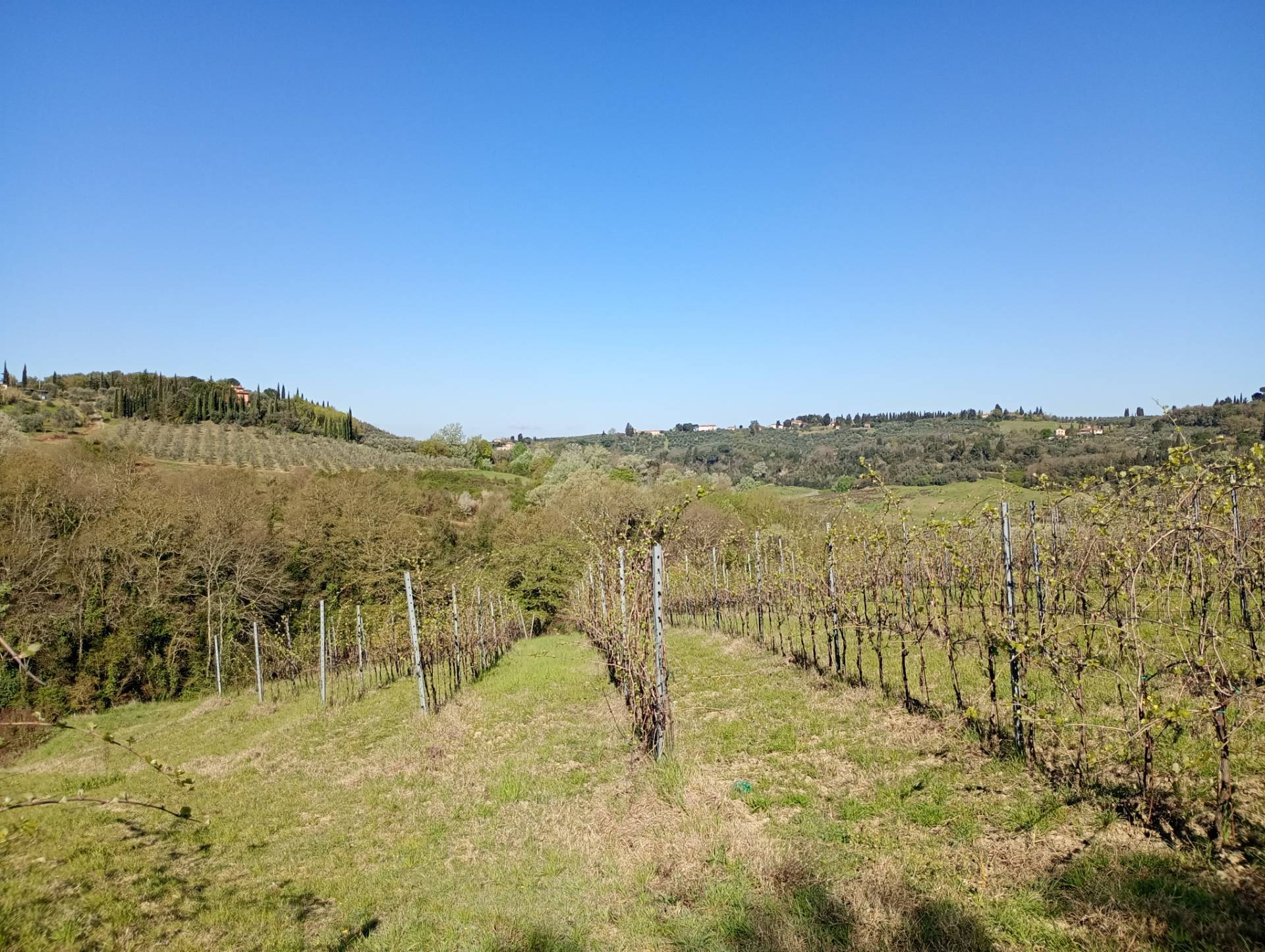 Azienda Agricola in vendita a Montespertoli