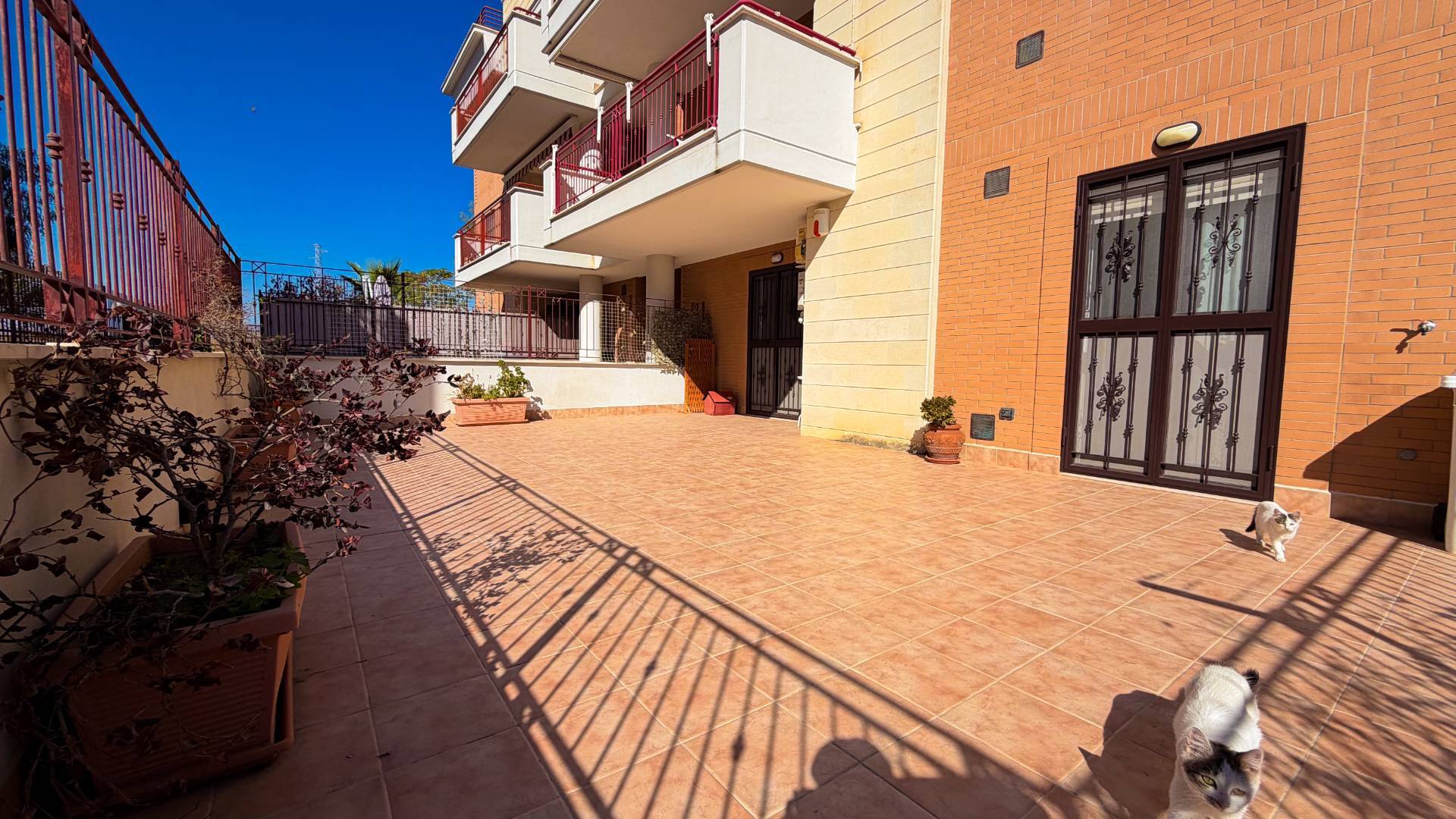 PIANO TERRA in vendita a Manfredonia, COMPARTI