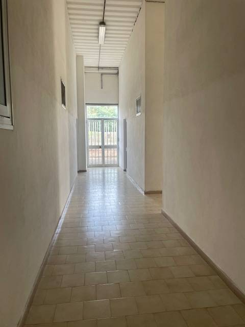 Attivit commerciale in vendita a Capalbio, Capalbio