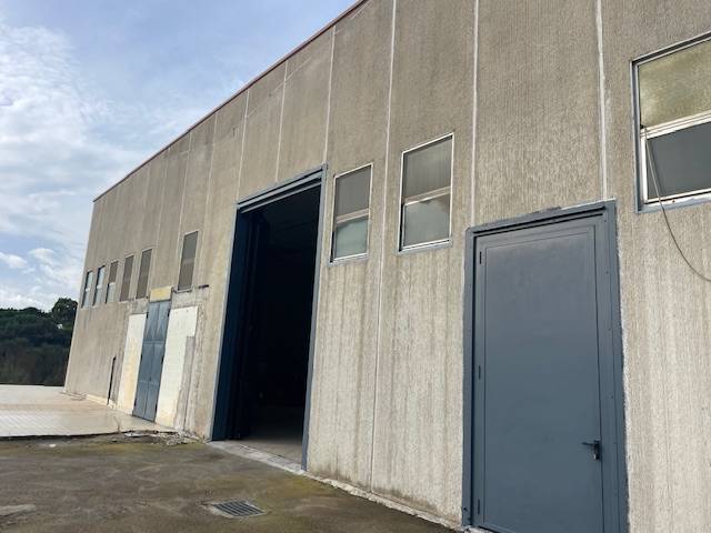 Attivit commerciale in vendita a Capalbio, Capalbio