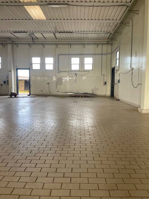 Attivit commerciale in vendita a Capalbio, Capalbio