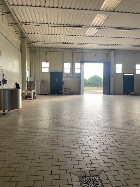 Attivit commerciale in vendita a Capalbio, Capalbio