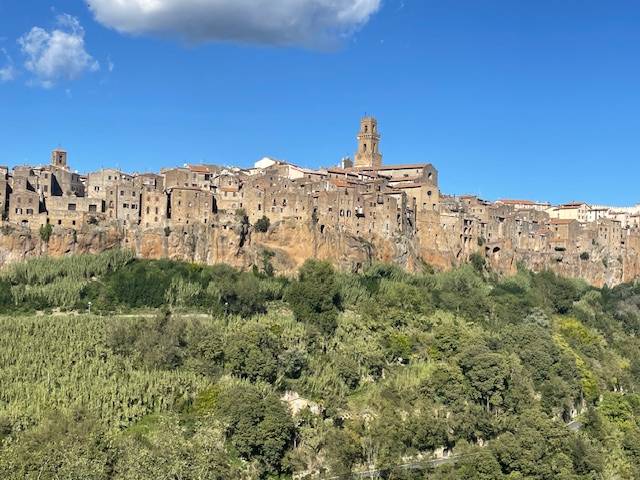 Casa singola in vendita a Pitigliano