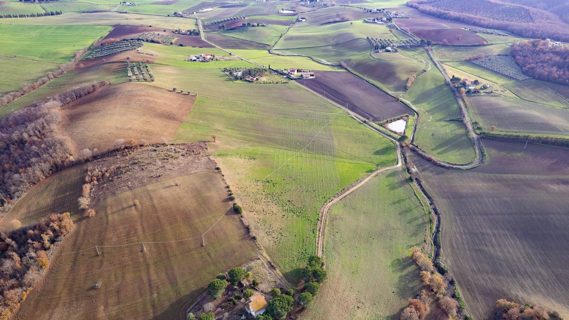 Villa in vendita a Manciano, Sgrilla