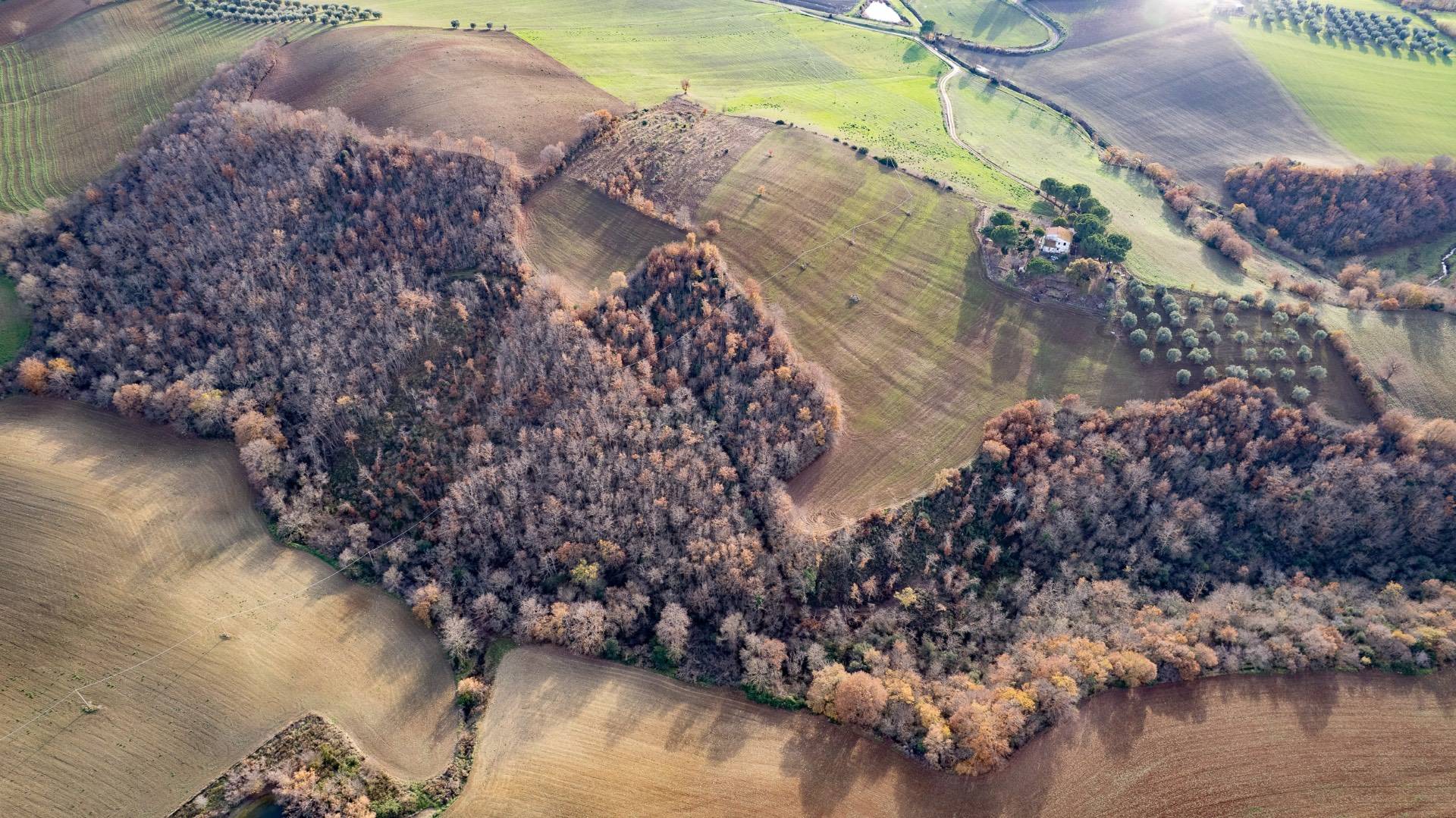 Villa in vendita a Manciano, Sgrilla