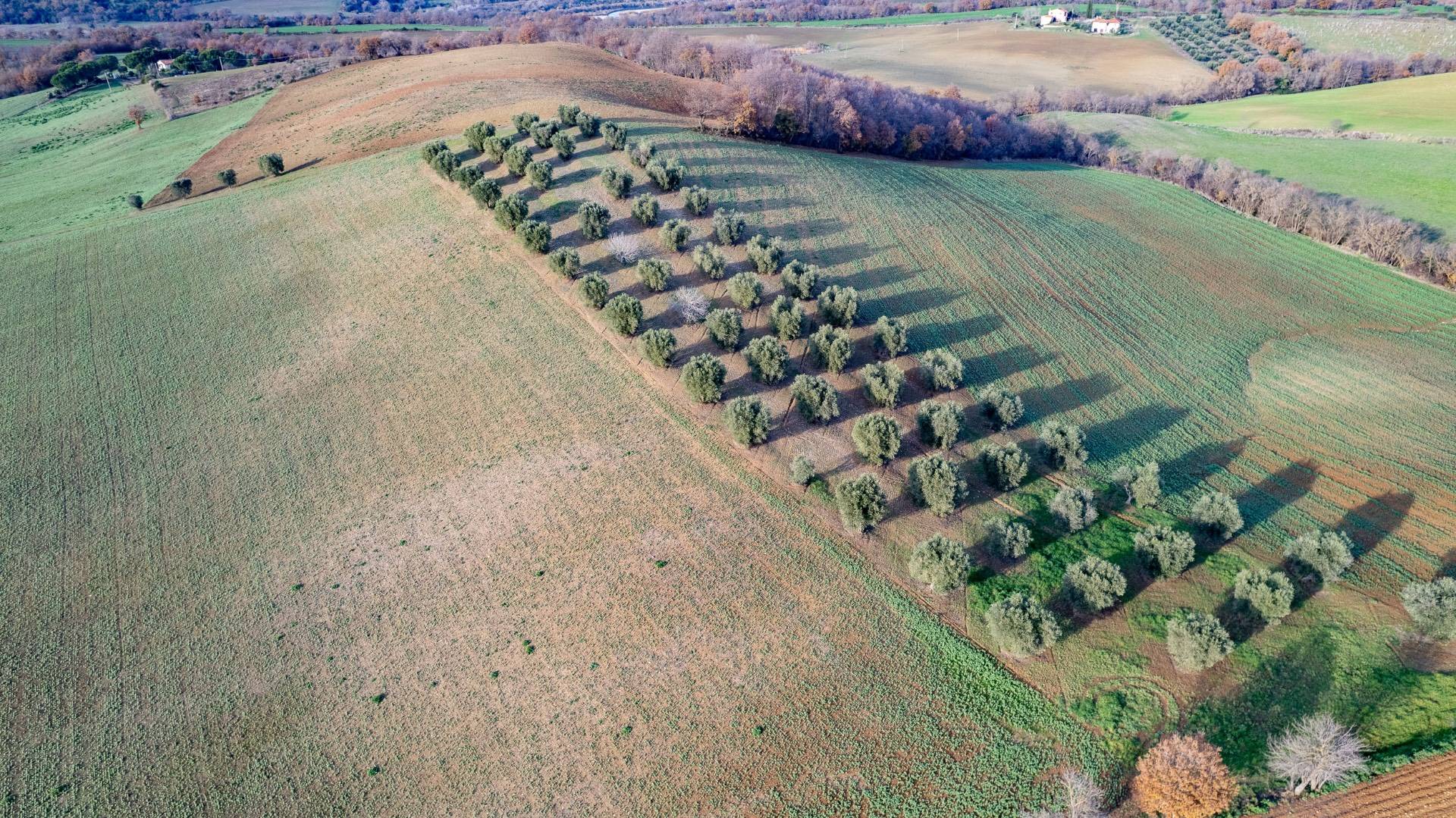 Villa in vendita a Manciano, Sgrilla