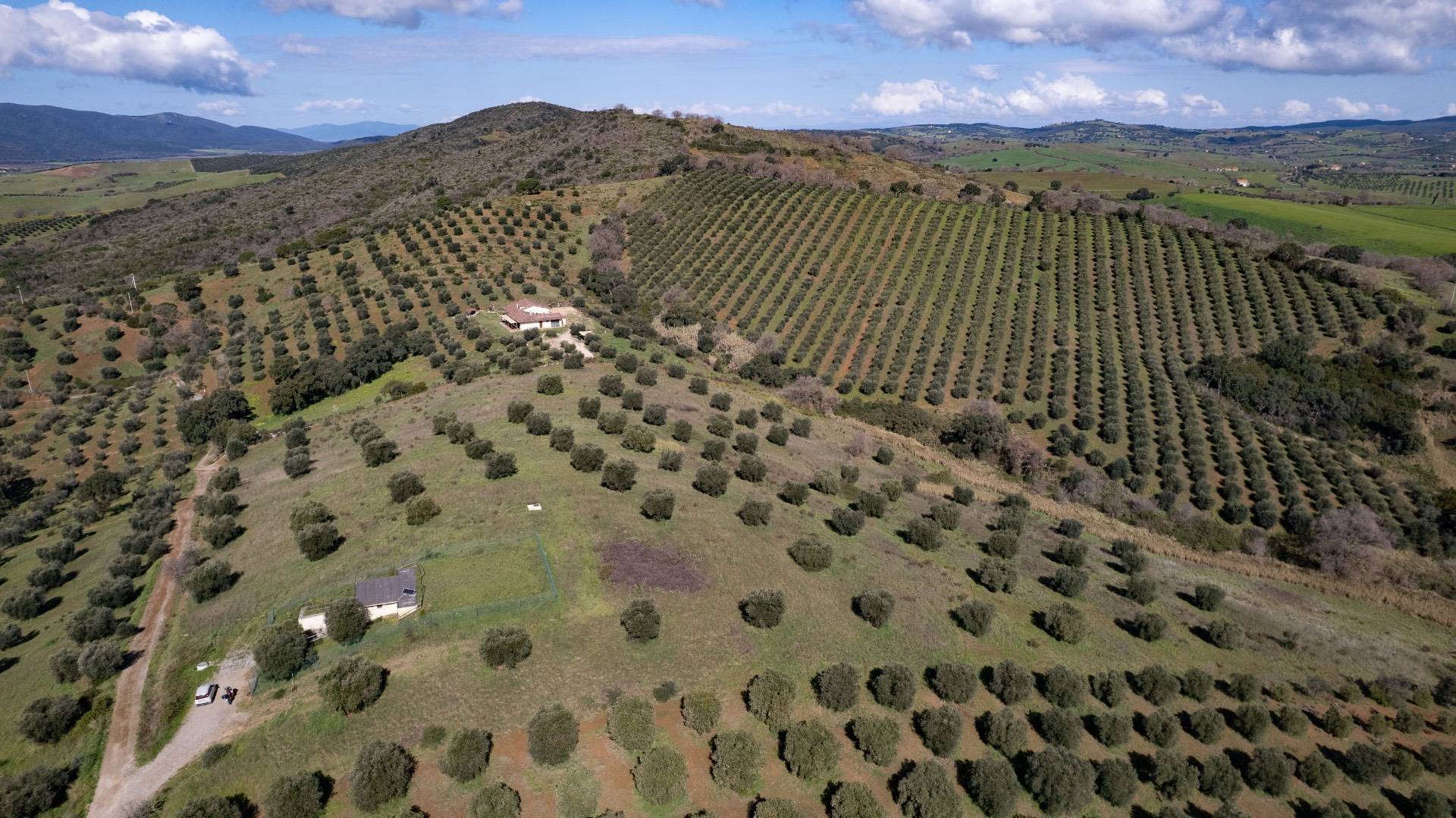 Terreno Agricolo in vendita a Orbetello, Fonteblanda