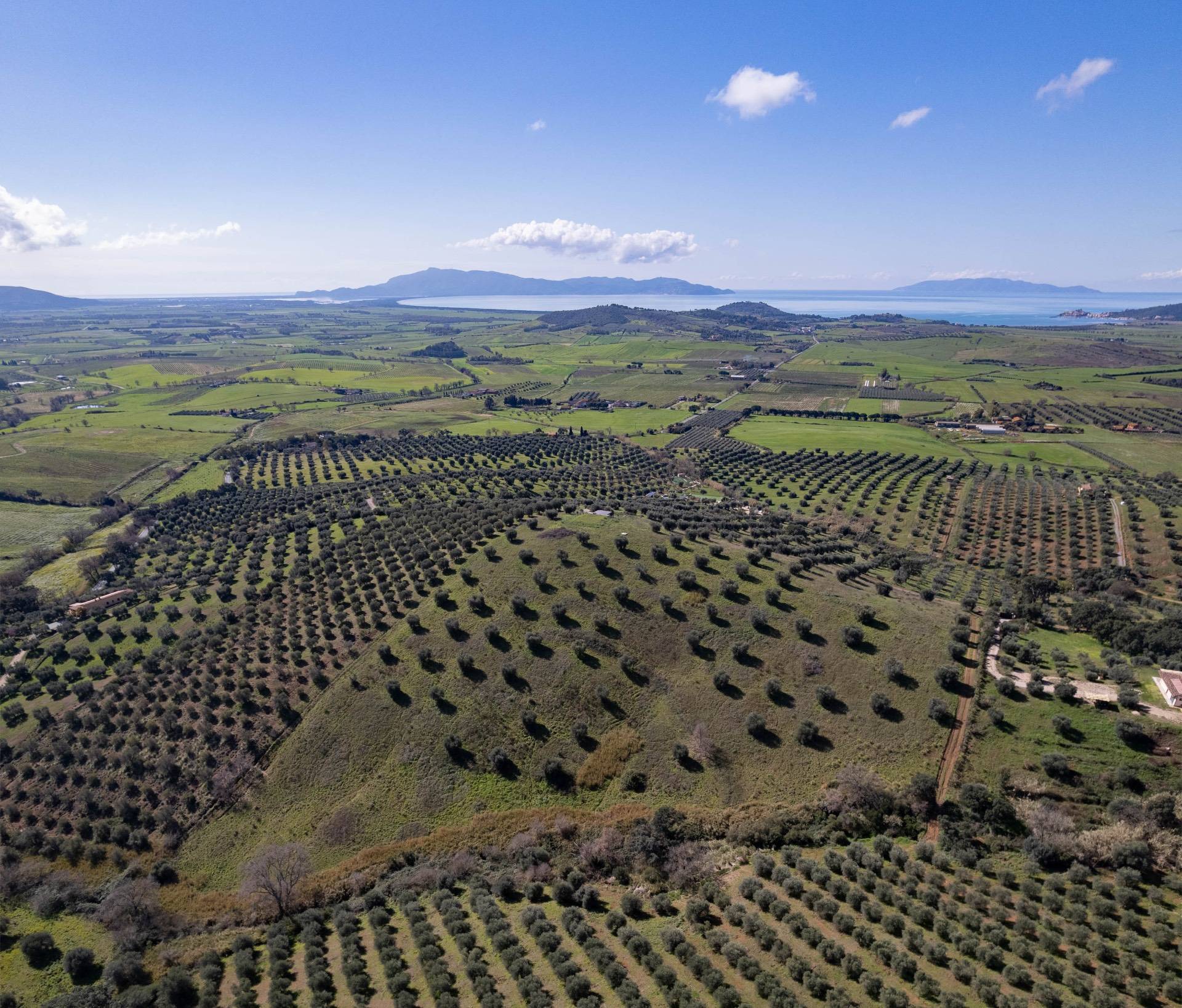 Terreno Agricolo in vendita a Orbetello, Fonteblanda