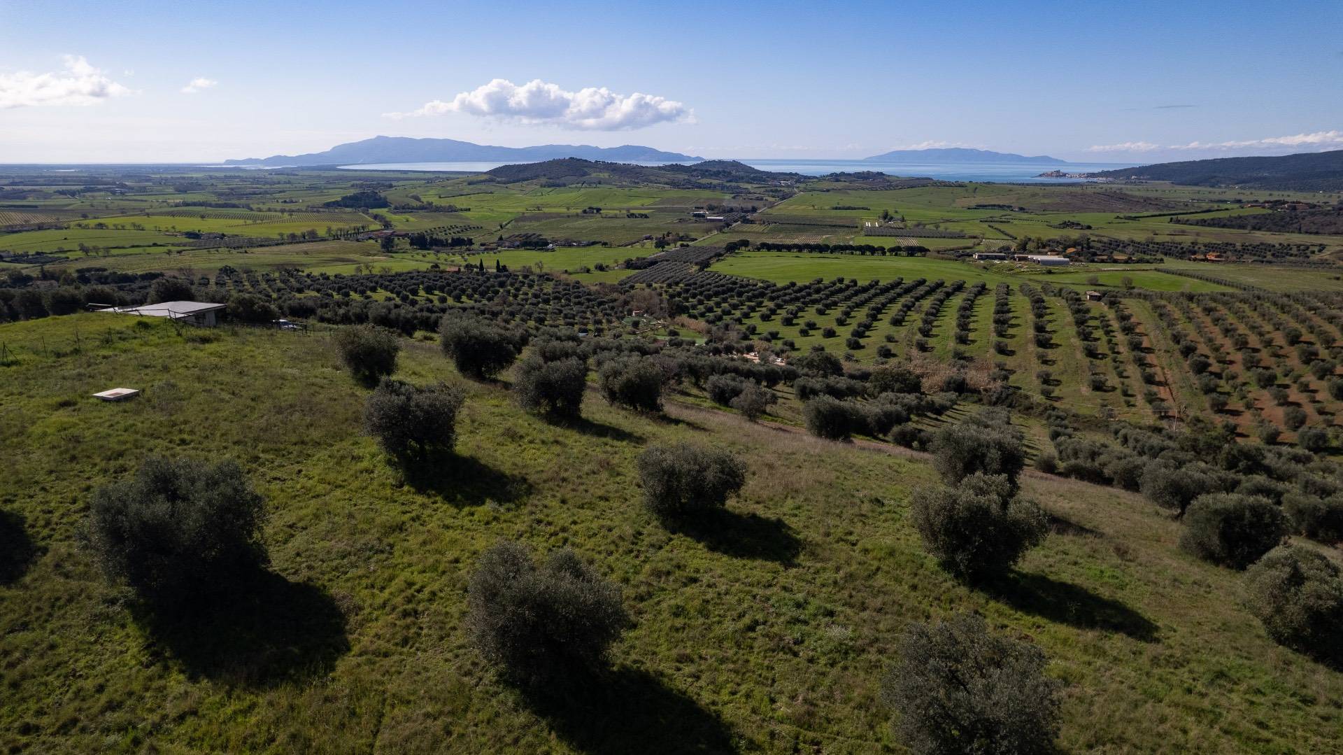 Terreno Agricolo in vendita a Orbetello, Fonteblanda