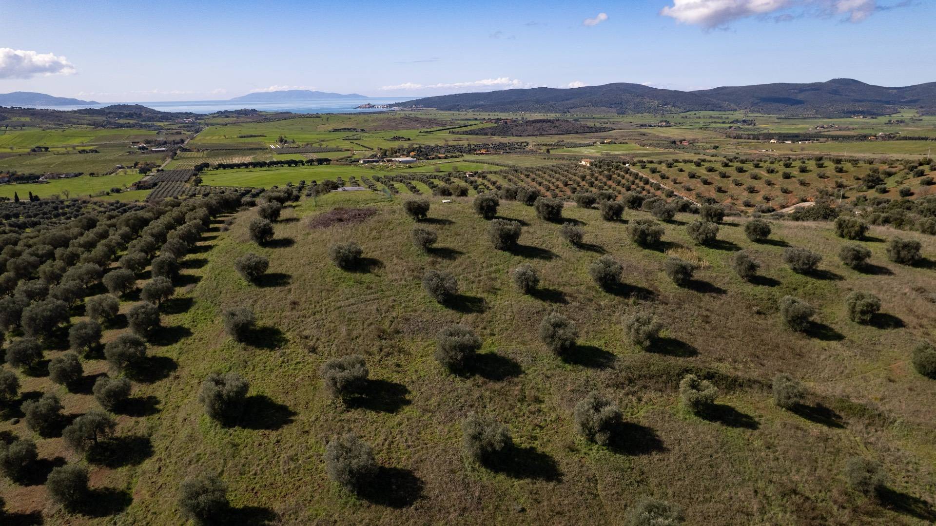 Terreno Agricolo in vendita a Orbetello, Fonteblanda