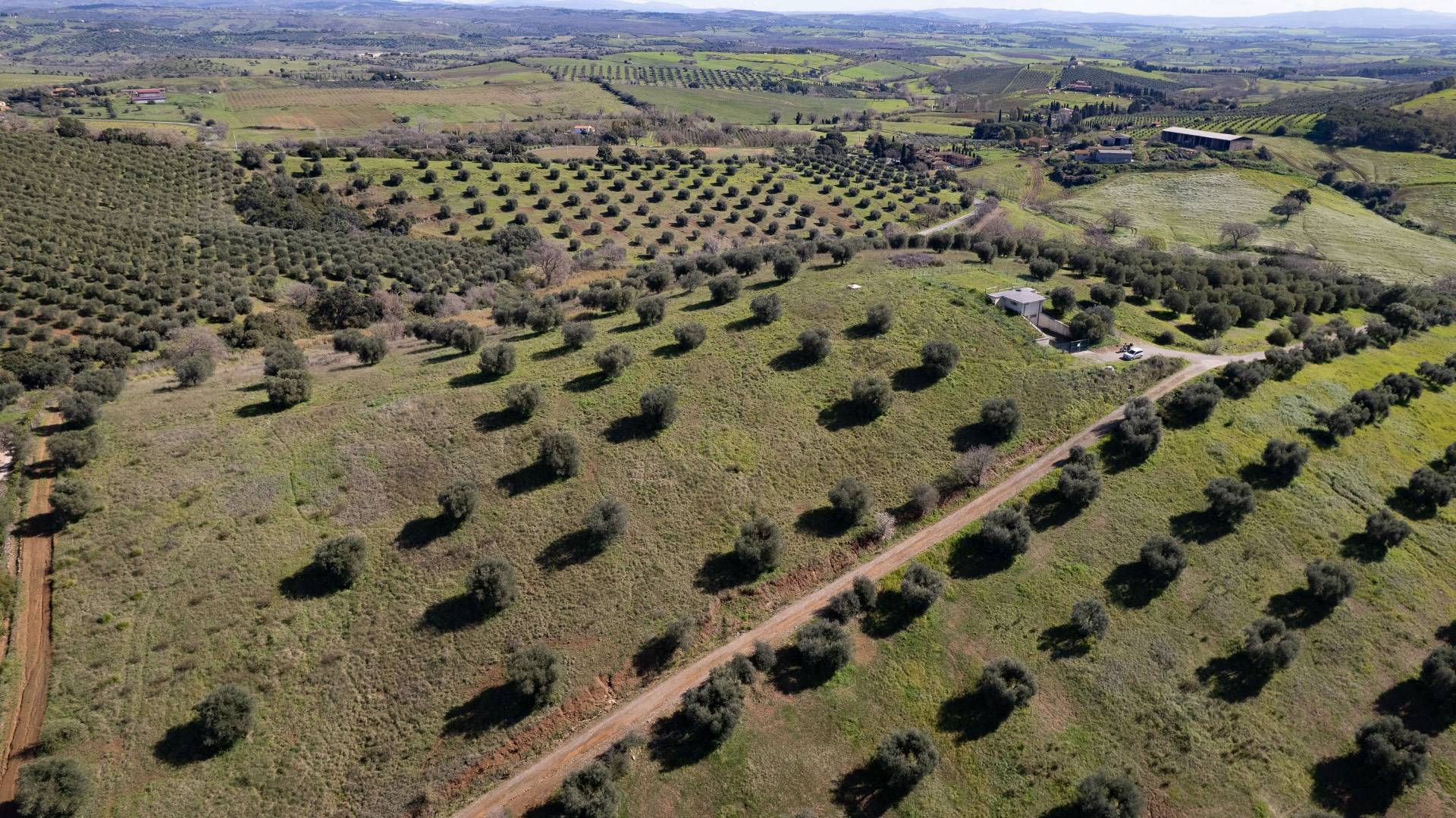 Terreno Agricolo in vendita a Orbetello, Fonteblanda