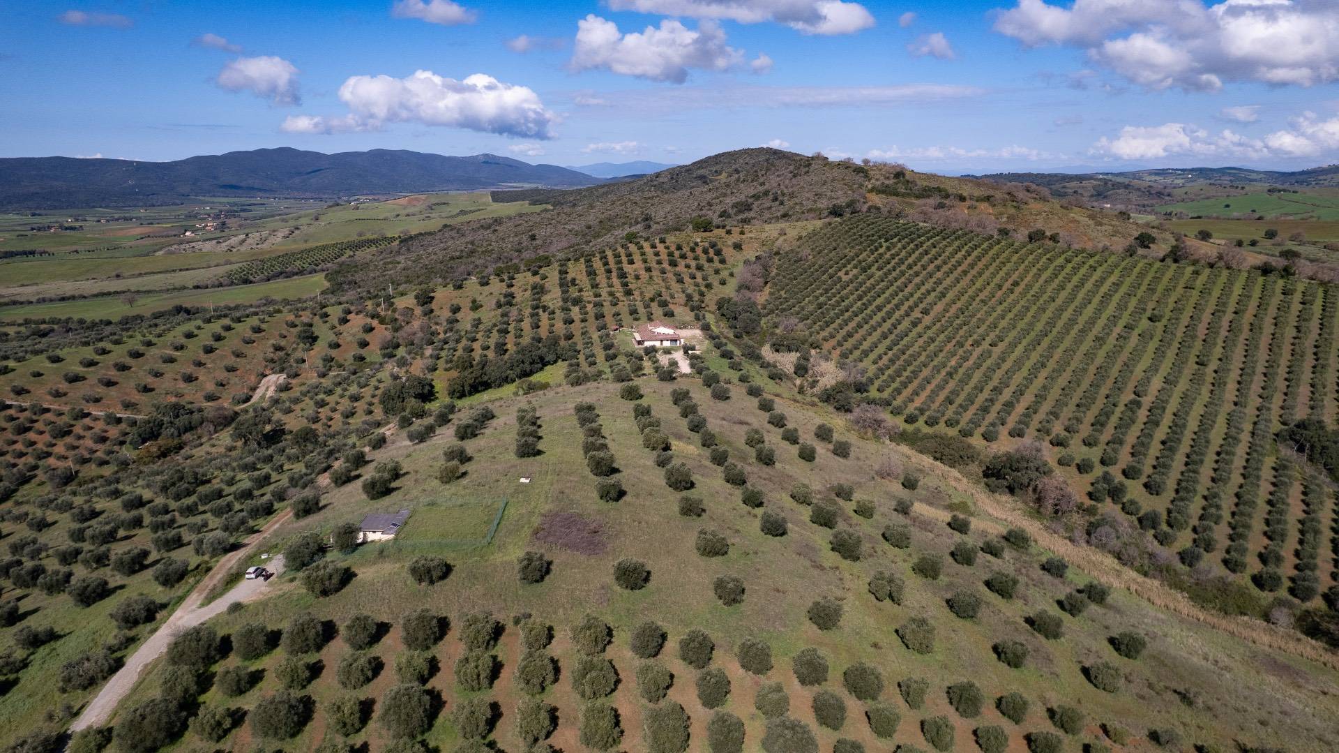 Terreno Agricolo in vendita a Orbetello, Fonteblanda