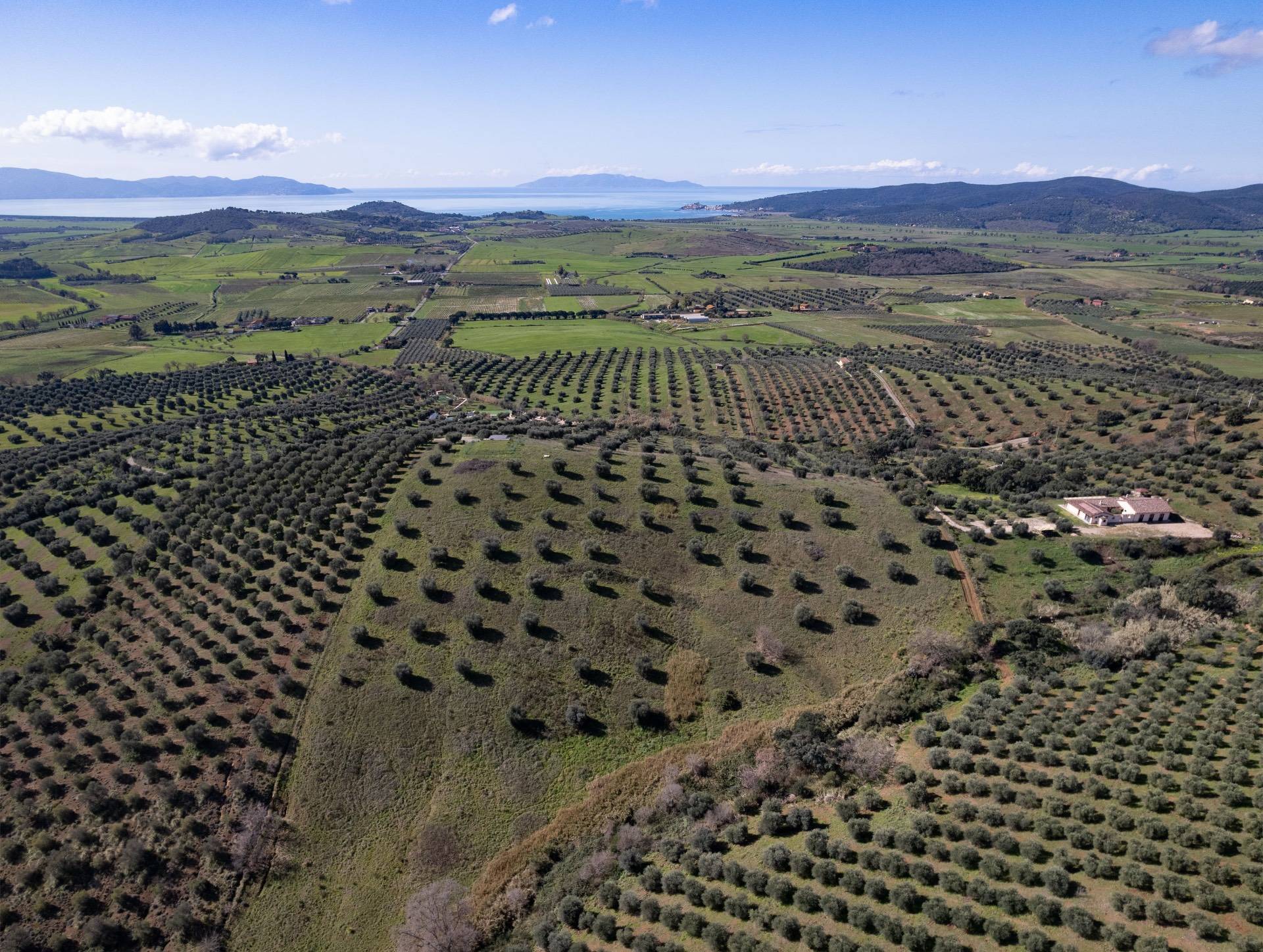 Terreno Agricolo in vendita a Orbetello, Fonteblanda