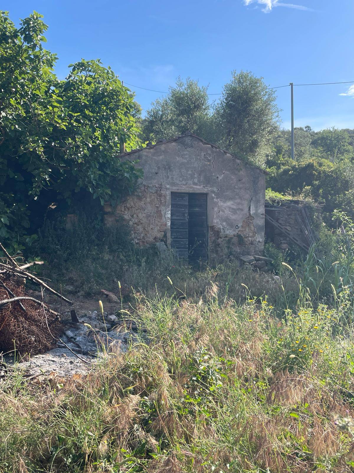 Casa singola in vendita a Monte Argentario, Porto Santo Stefano