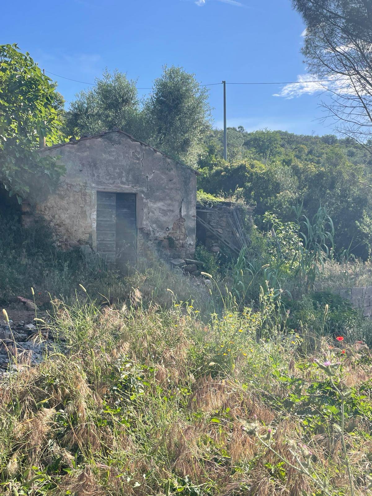 Casa singola in vendita a Monte Argentario, Porto Santo Stefano