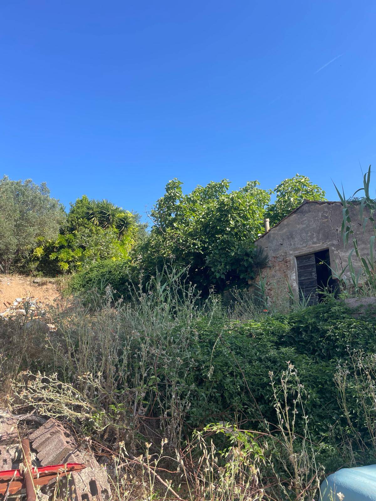 Casa singola in vendita a Monte Argentario, Porto Santo Stefano