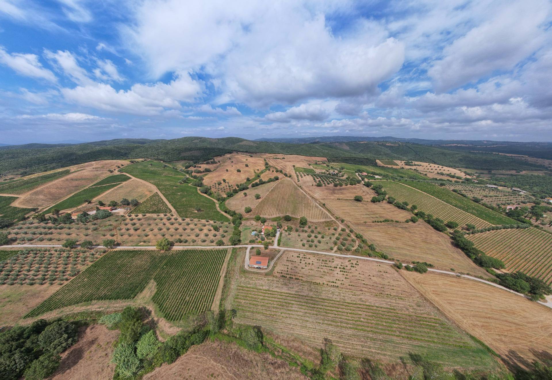 Casa singola in vendita a Magliano in Toscana, Montiano