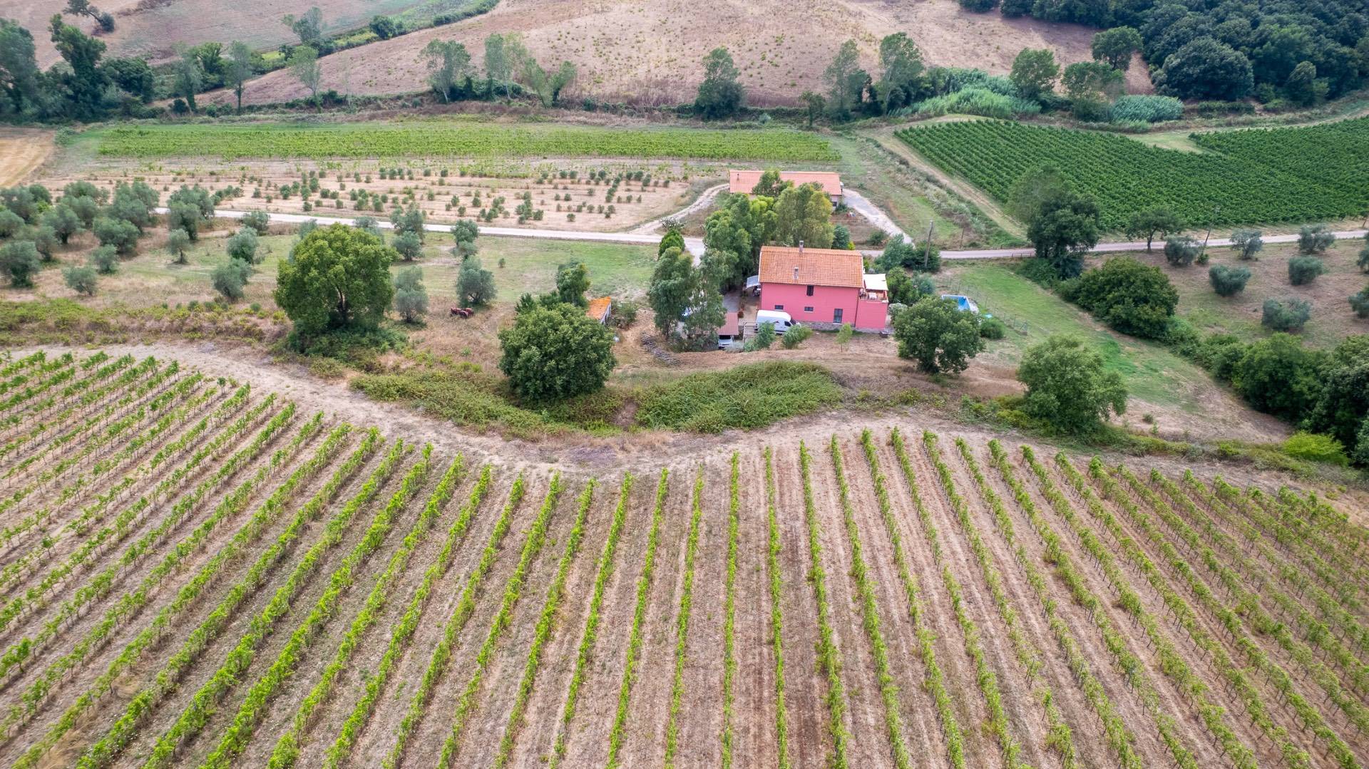 Casa singola in vendita a Magliano in Toscana, Montiano