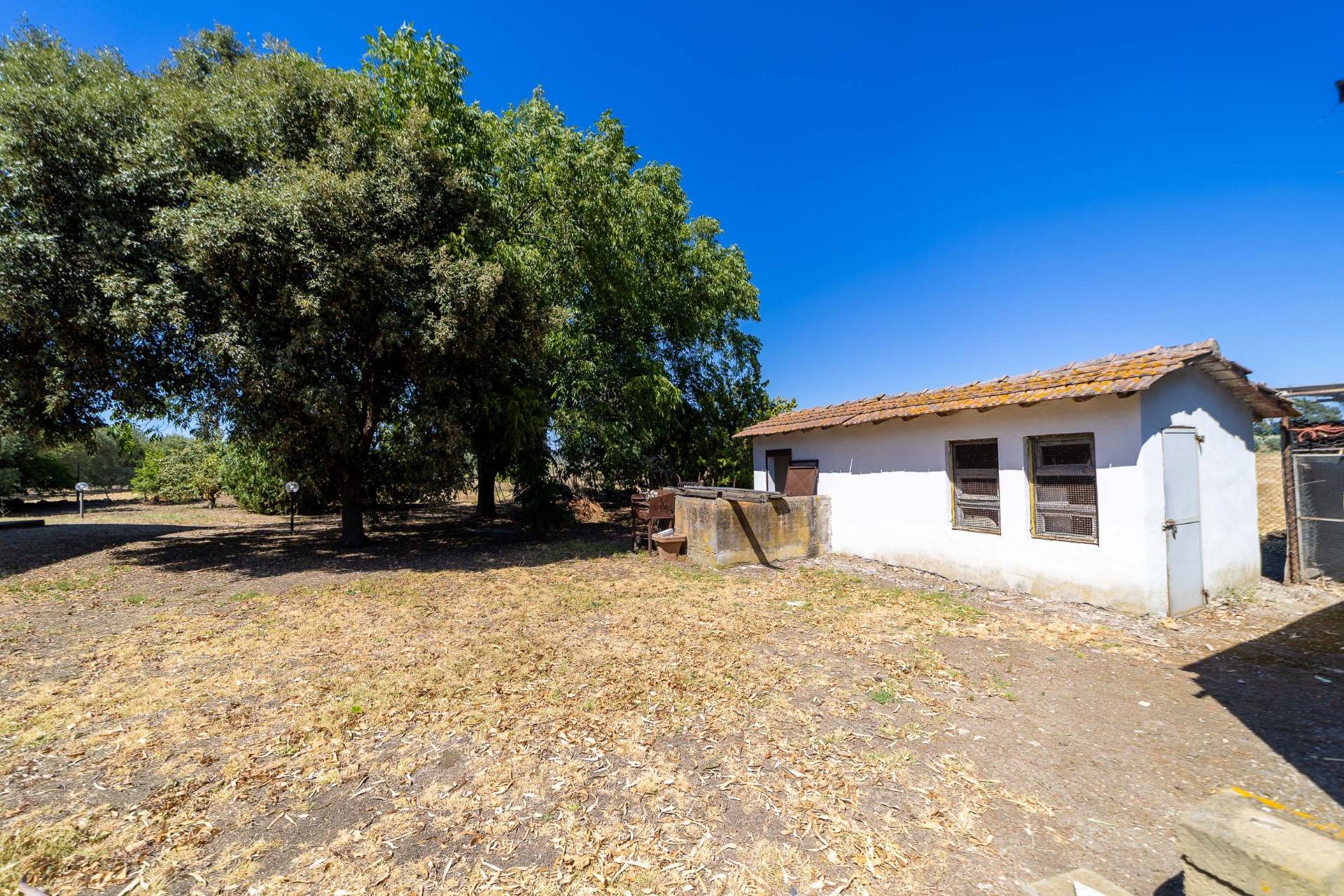 Villa in vendita a Capalbio, Capalbio