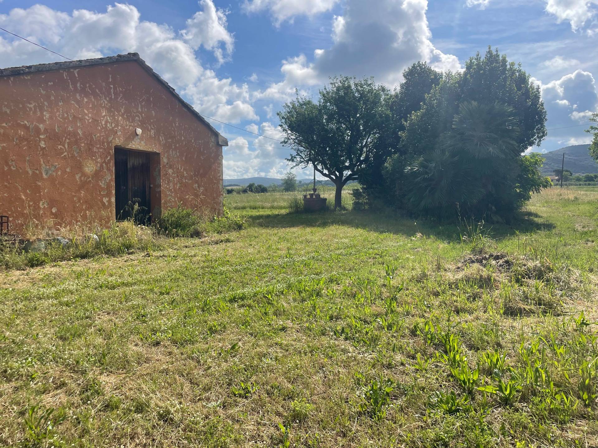 Casa singola in vendita a Grosseto, Alberese