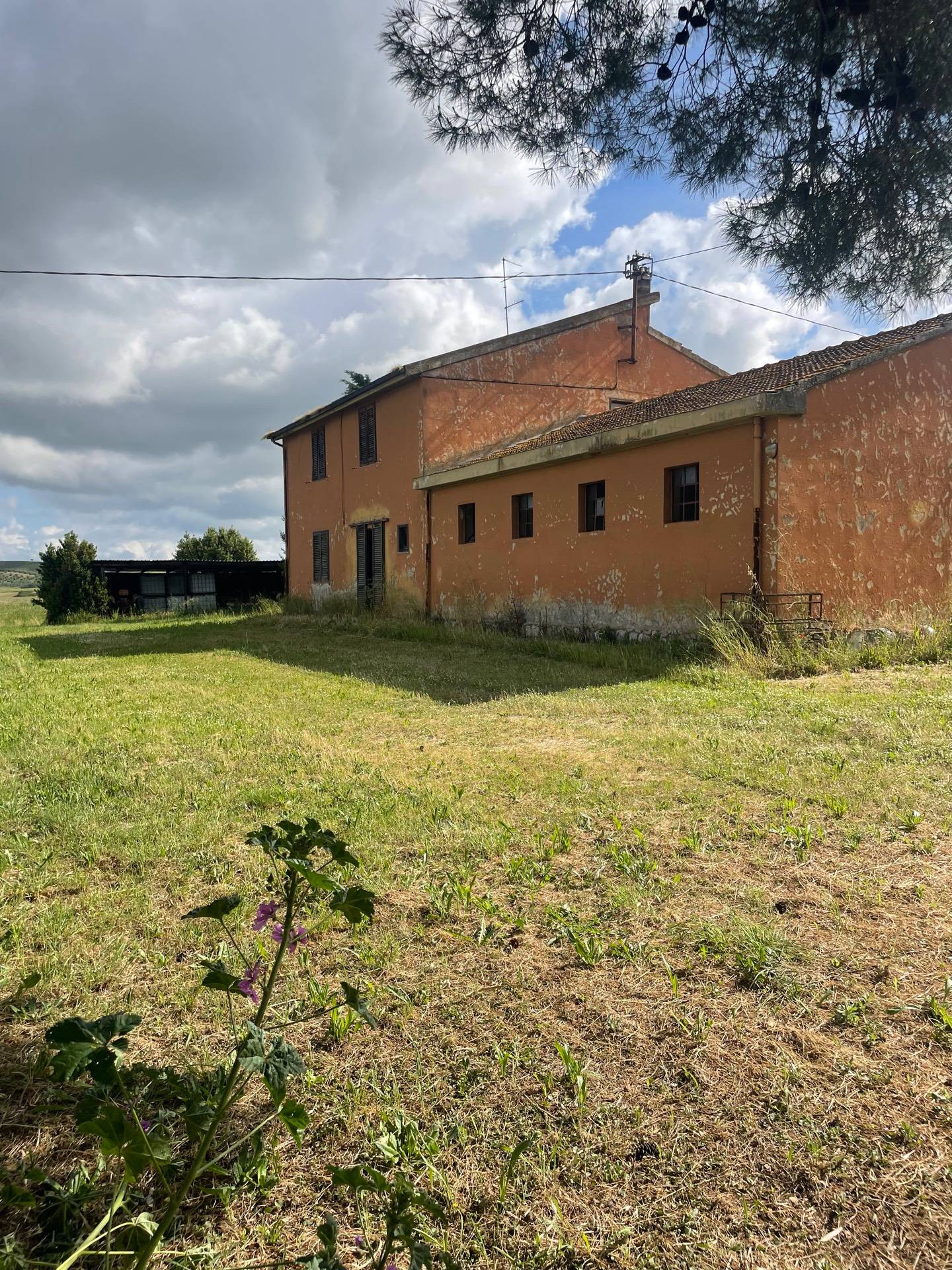 Casa singola in vendita a Grosseto, Alberese