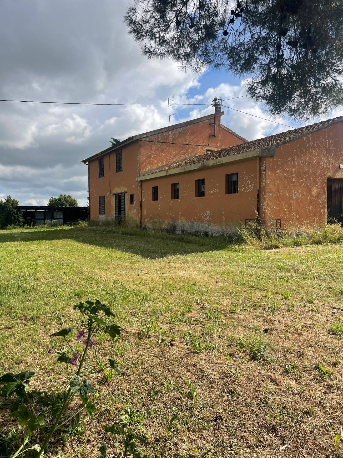 Casa singola in vendita a Grosseto, Alberese