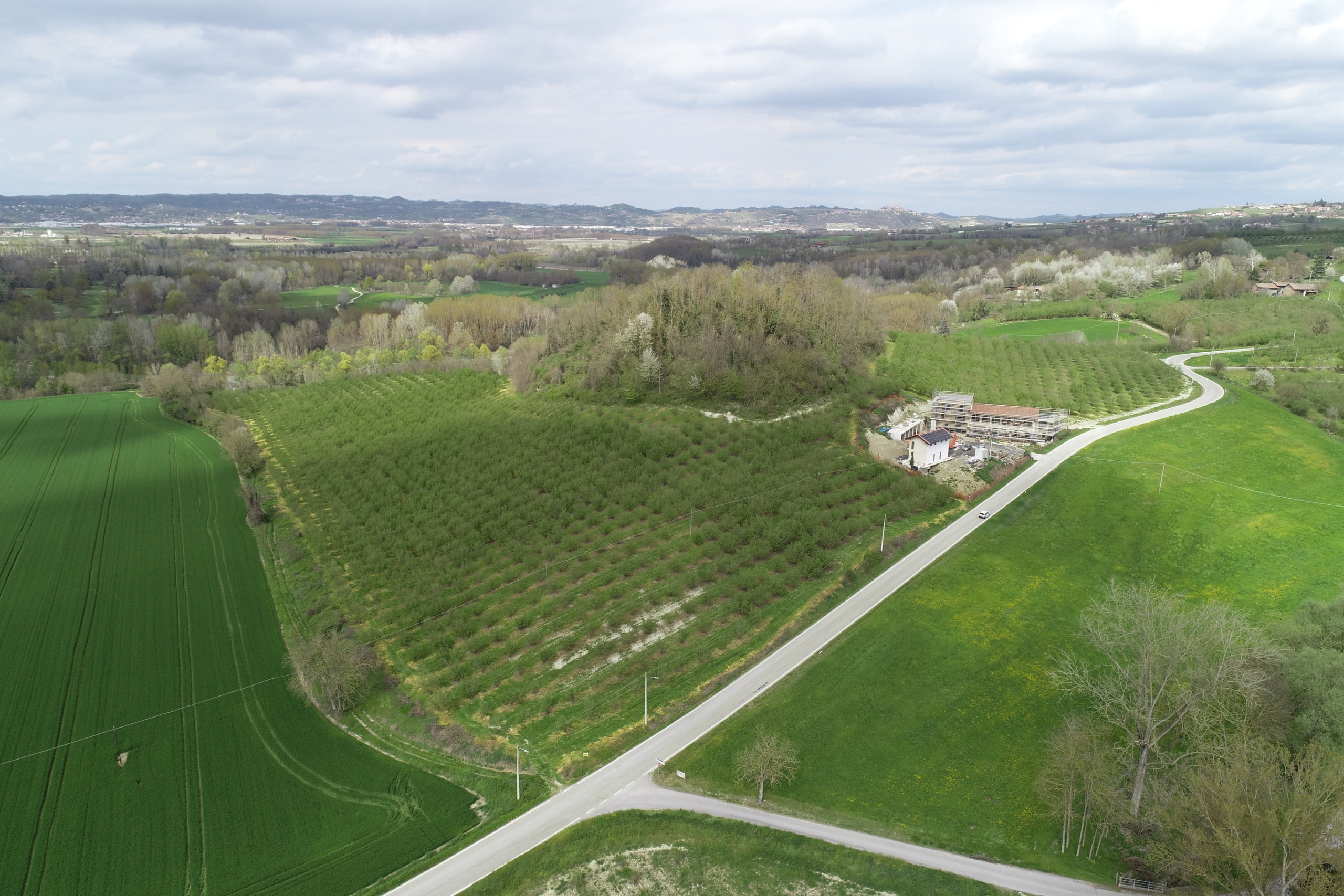 Terreno Agricolo in vendita in via la morra, Cherasco