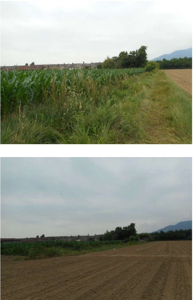 Villa in vendita a Cavour