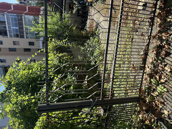 Locale commerciale in vendita a Collegno