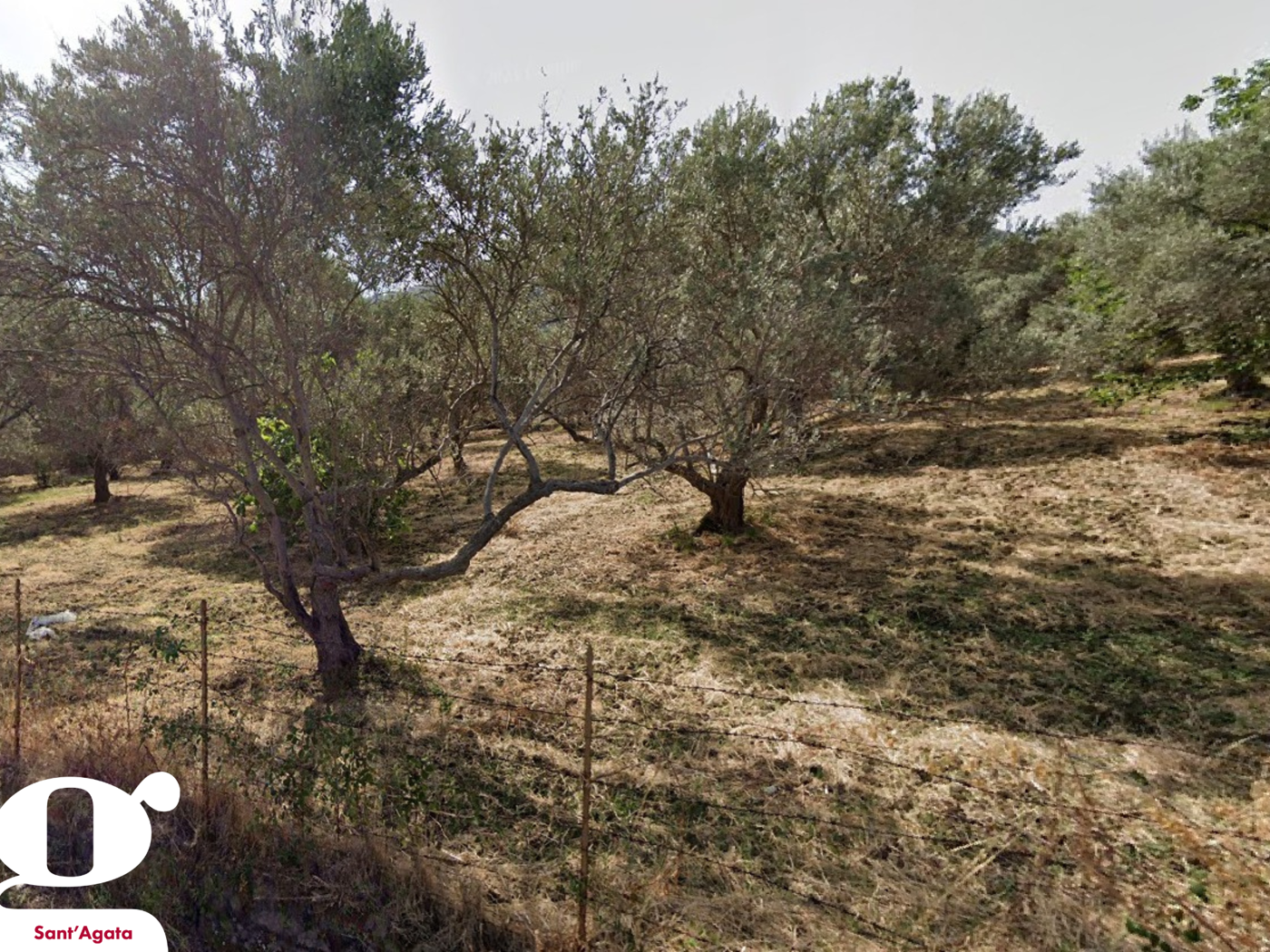 Terreno Edificabile in vendita a Acquedolci