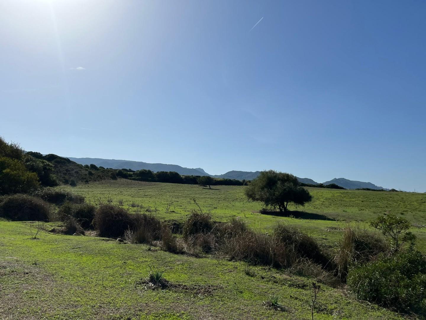 Rustico da ristrutturare, Aglientu vignola mare