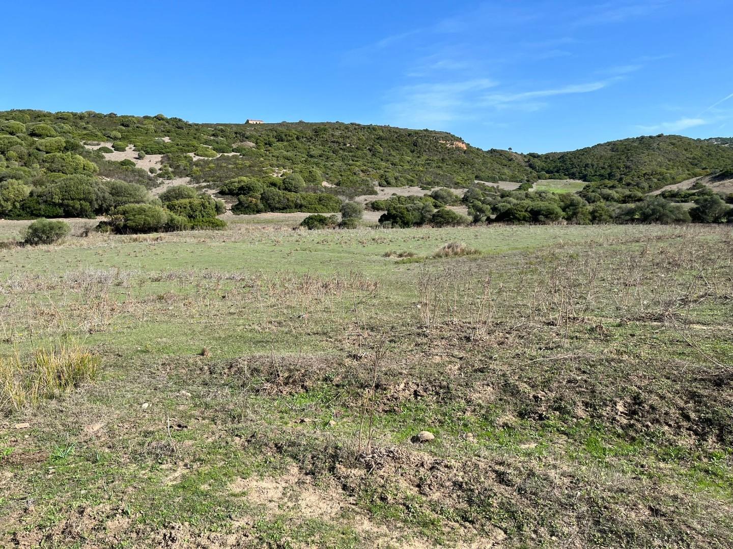 Rustico da ristrutturare, Aglientu vignola mare