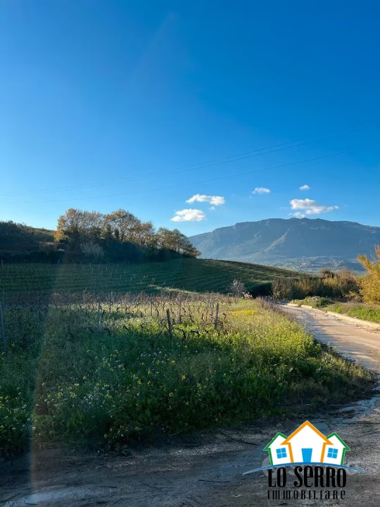 Terreno in vendita a Alcamo