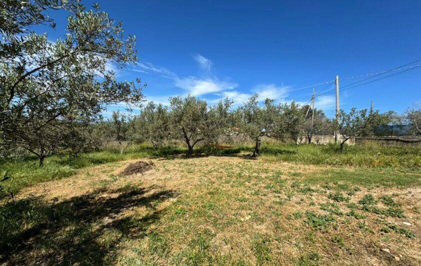 Terreno Agricolo in vendita a Balestrate