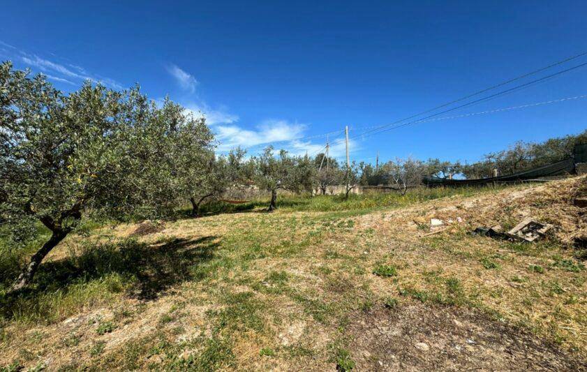 Terreno Agricolo in vendita a Balestrate
