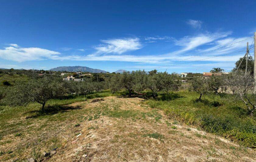 Terreno Agricolo in vendita a Balestrate